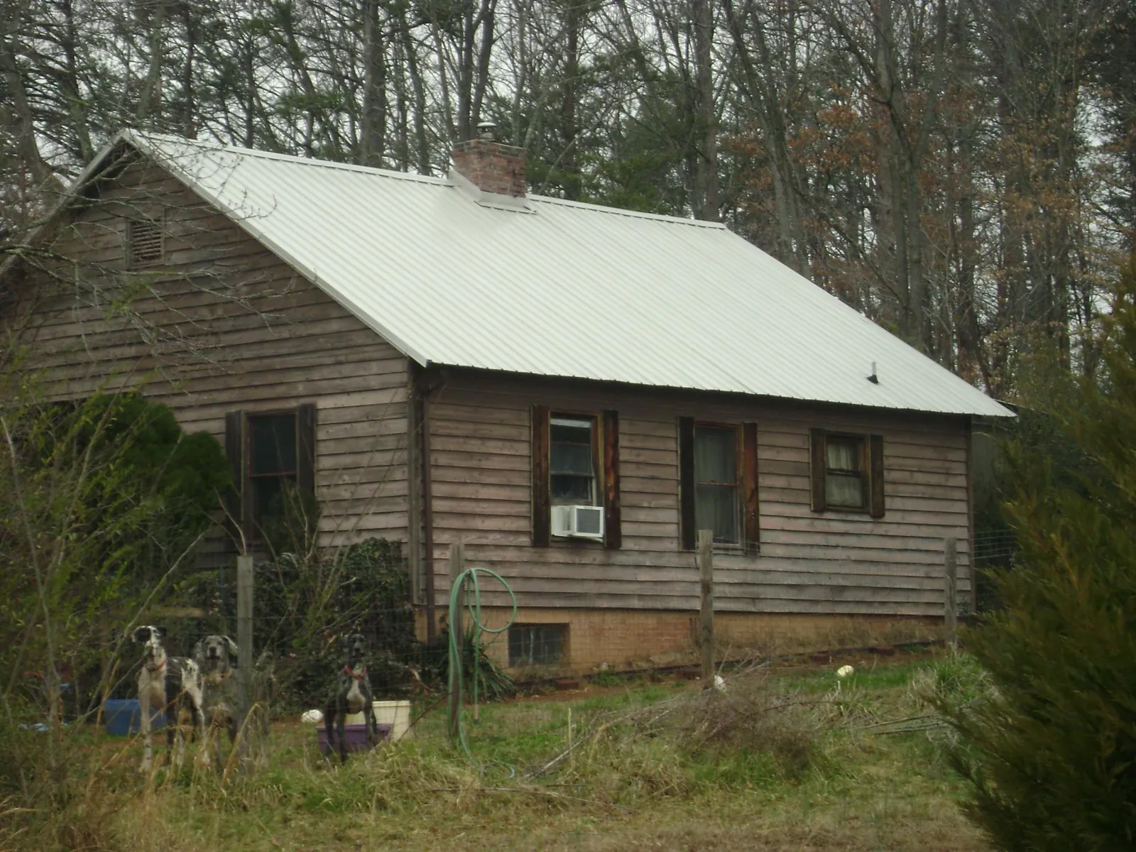 White metal roof on an old wood sided farmhouse, from a Asphalt Shingle Roof Repair job in Stonyford